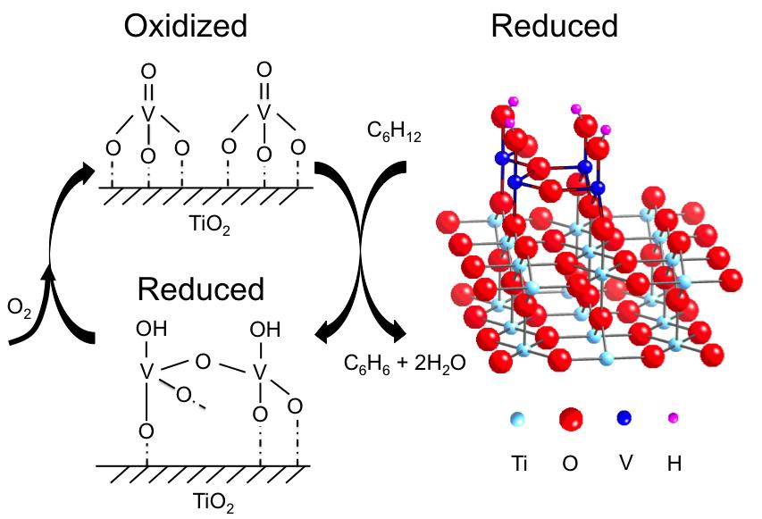 A layer of vanadium oxide on top of titanium oxide that has been oxidized can then be reduced, acting as a catalyst for the oxidative dehydration of cyclohexane to benzene